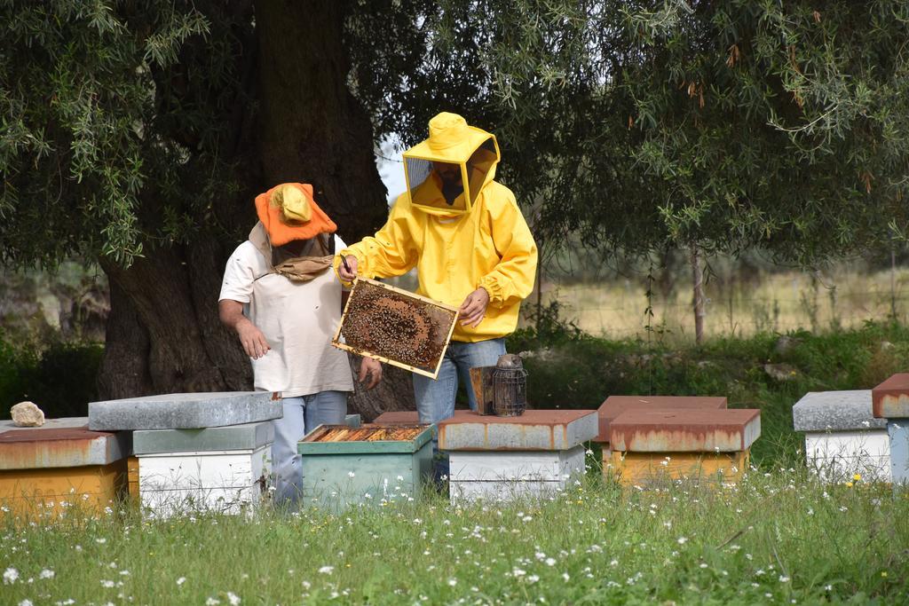 Il Vecchio Frantoio Villa Augusta Exteriör bild